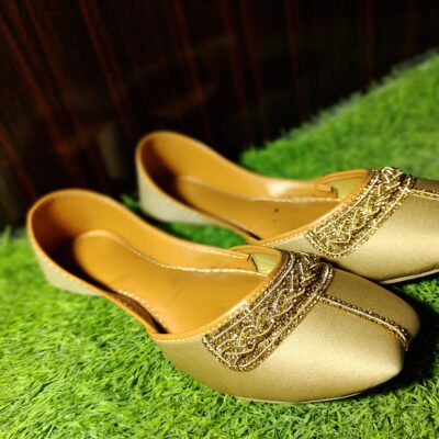 Golden Majesty Embroidered Khussa