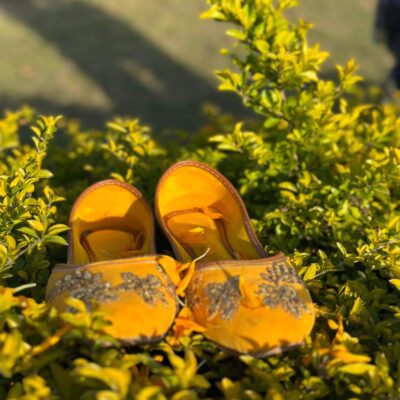 Golden Sunrise Embroidered Khussa